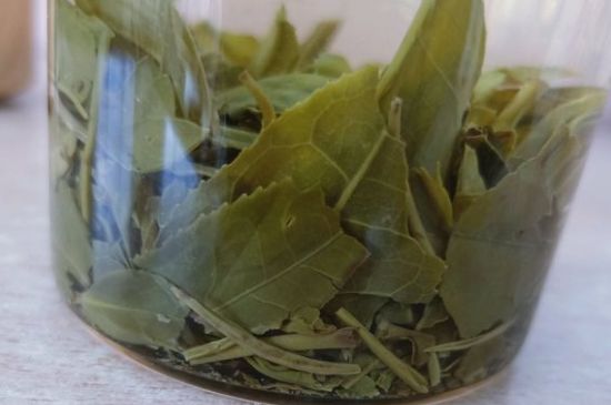 綠茶陳茶和新茶區別，綠茶怎樣區分新茶和陳茶