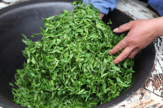 潮汕炒茶屬于什么茶，潮汕炒茶是綠茶嗎？