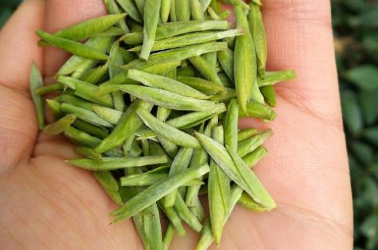 什么綠茶味道濃香，那個(gè)綠茶比較濃香？