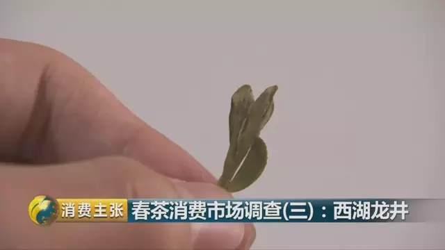龍井群體種和43號(hào)的區(qū)別圖片，龍井43和群體種哪個(gè)好喝？