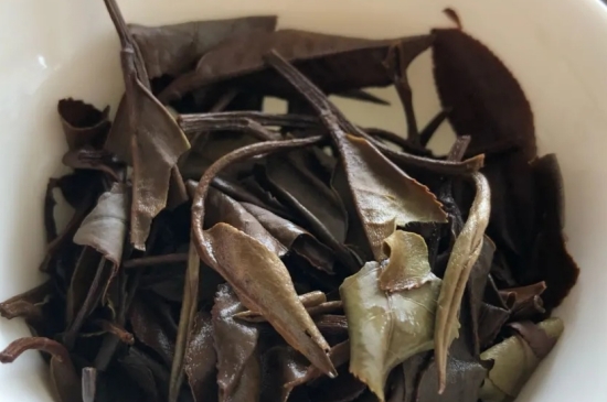 老白茶上火還是去火？夏季喝煮的老白茶會容易上火！