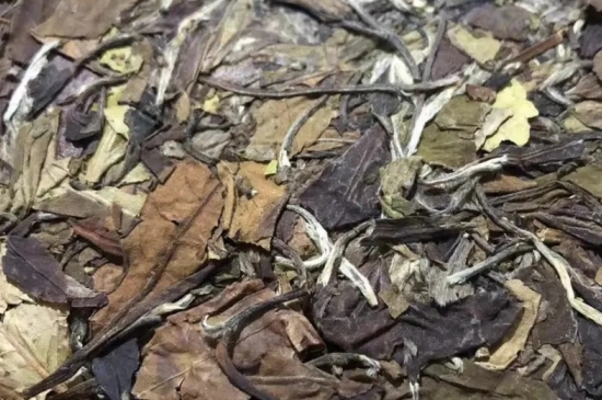 老白茶上火還是去火？夏季喝煮的老白茶會容易上火！
