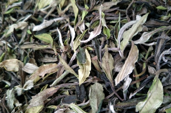 福鼎白茶貢眉和壽眉的區別，壽眉與貢眉有什么區別