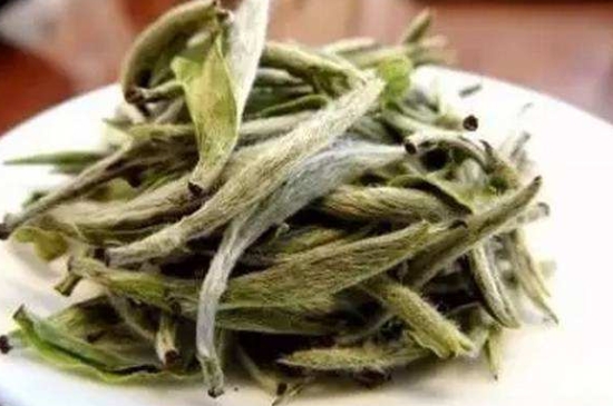 白茶三年為藥七年為寶的原理，為什么說一年茶三年藥七年寶？