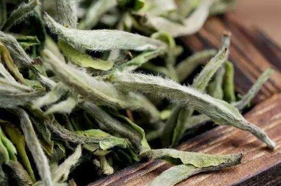 荒野銀針有什么特點，荒野銀針的味道口感咋樣？