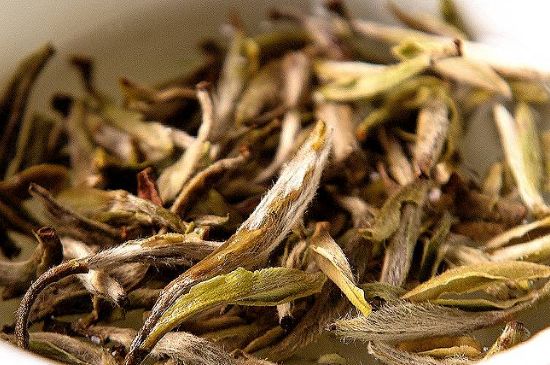 荒野銀針市場價多少，真正的荒野白毫銀針多少錢？