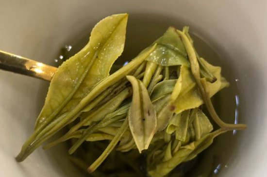 新舊白茶怎么區分，怎么分辨白茶是新還是舊