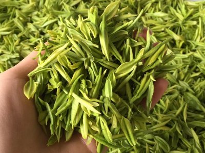 白茶品質如何區分，白茶的優劣質量辨別方法
