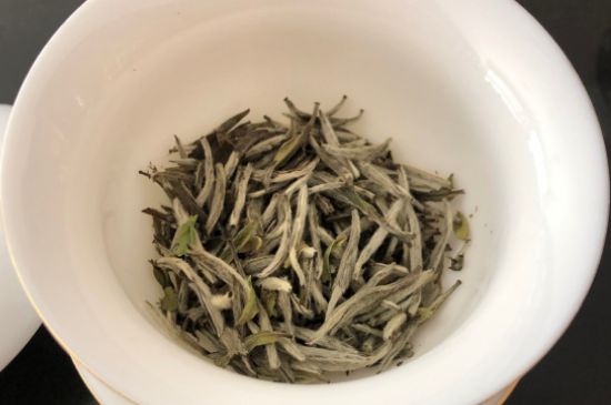 春茶上市白茶的好壞怎么區分，春白茶怎么分辨好不好？