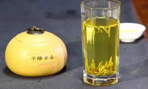 平陽黃湯