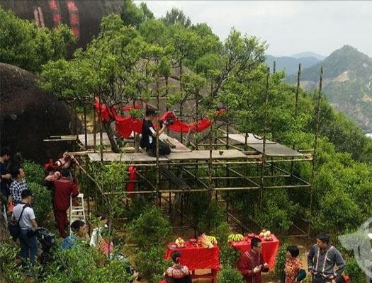 宋種一號價值為什么高，鳳凰單樅宋種1號價格與產量多少？