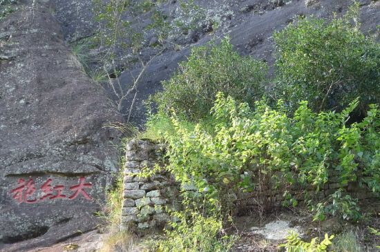 母樹大紅袍給誰喝了，為什么母樹大紅袍叫三棵六株？