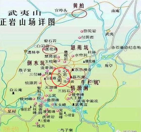 母樹大紅袍給誰喝了，為什么母樹大紅袍叫三棵六株？