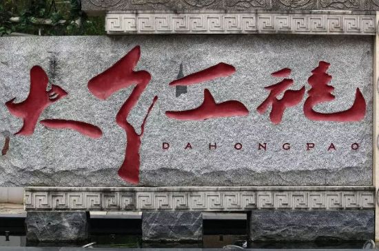 母樹大紅袍給誰喝了，為什么母樹大紅袍叫三棵六株？