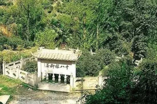 母樹大紅袍給誰喝了，為什么母樹大紅袍叫三棵六株？