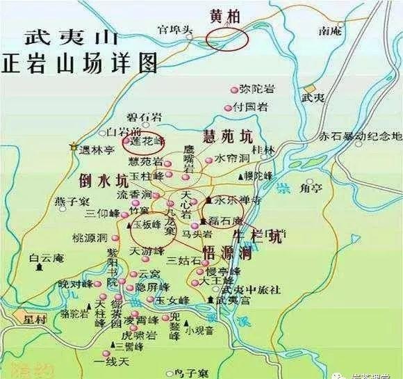 300塊錢的金駿眉能喝嗎，兩三百多金駿眉和一千多區別