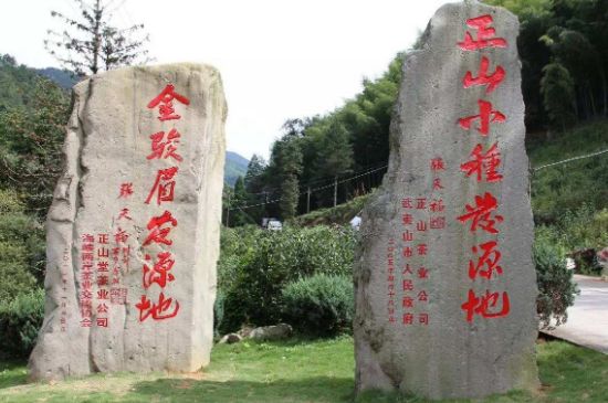 300塊錢的金駿眉能喝嗎，兩三百多金駿眉和一千多區別
