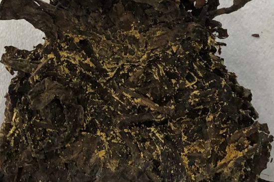 怎么知道涇渭茯茶是否變質，茯磚茶金花和發霉的區別