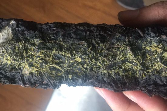 怎么知道涇渭茯茶是否變質，茯磚茶金花和發霉的區別
