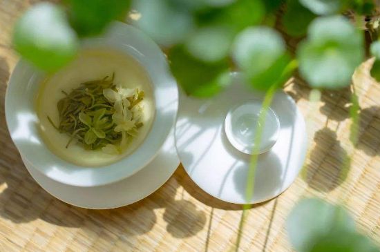 茉莉花茶6種人不要喝，什么體質不適合喝茉莉花茶？
