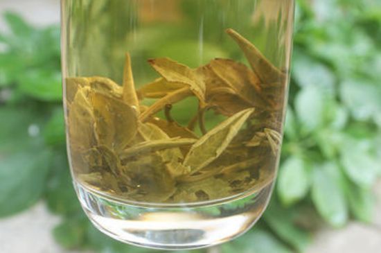 茉莉龍珠泡開后為什么都是梗，茉莉龍珠泡開后什么樣？