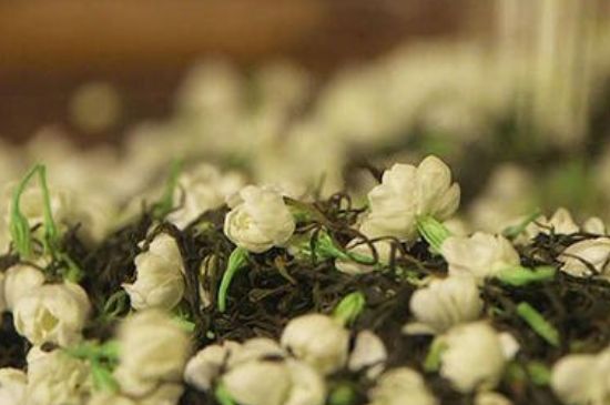 蒸茶器可以蒸花茶嗎，蒸茶器能用來蒸茉莉花茶嗎？