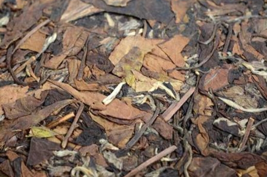 福鼎白茶能長時間悶泡嗎，老白茶可以悶著喝嗎？