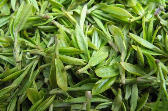 世界最貴的茶葉排行榜，十大最貴的茶