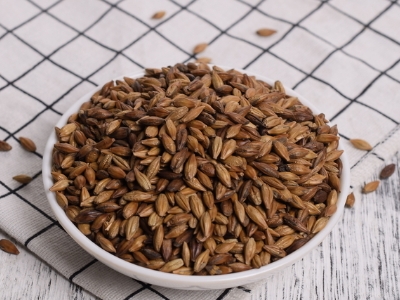 圓形顆粒狀茶是什么茶，像飼料一樣一粒粒的是什么茶？
