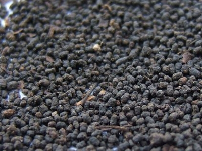圓形顆粒狀茶是什么茶，像飼料一樣一粒粒的是什么茶？