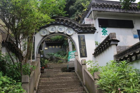 杭州龍井村買(mǎi)茶騙術(shù)，西湖龍井茶托騙局揭秘！
