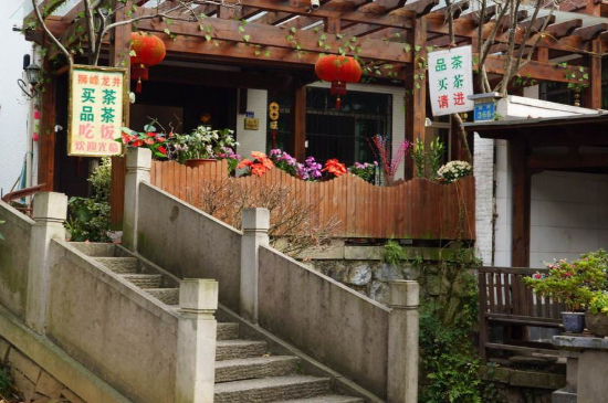 杭州龍井村買(mǎi)茶騙術(shù)，西湖龍井茶托騙局揭秘！