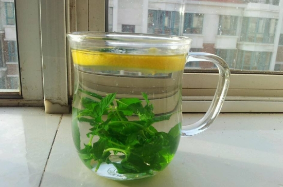 薄荷茶的功效與作用，喝薄荷茶有什么好處？