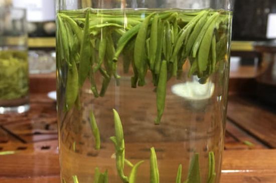 雀舌茶的副作用，雀舌茶什么人不能喝？