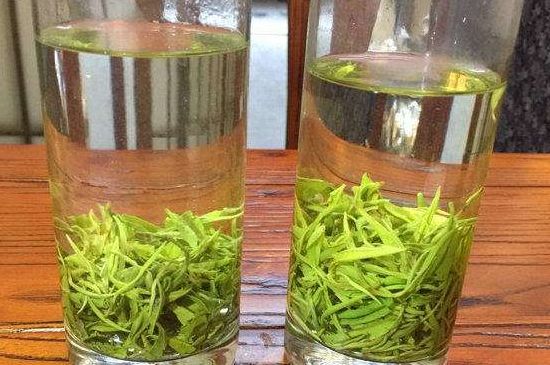 黃金茶的功效及禁忌癥，黃金茶有什么副作用嗎？