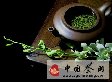 茶道：好茶總在入口時