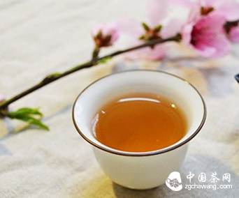 白茶的美，美在姿態