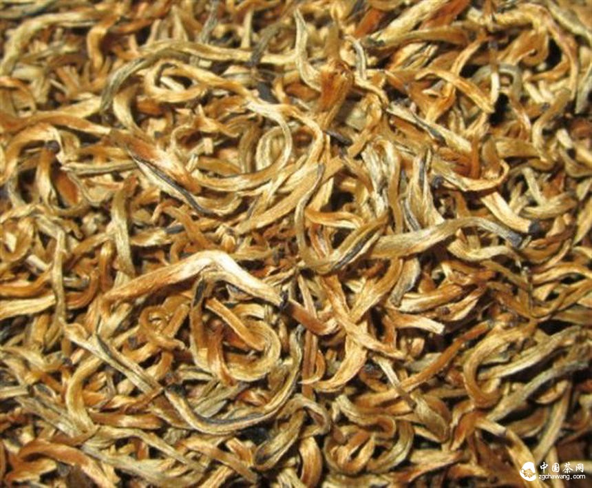 云南省紅茶產業技術創新戰略聯盟在鳳慶縣成立