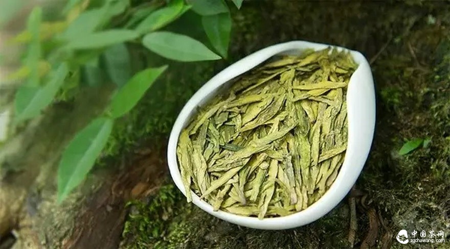 西湖龍井"釣魚式"維權 維的是"權"還是"錢"？