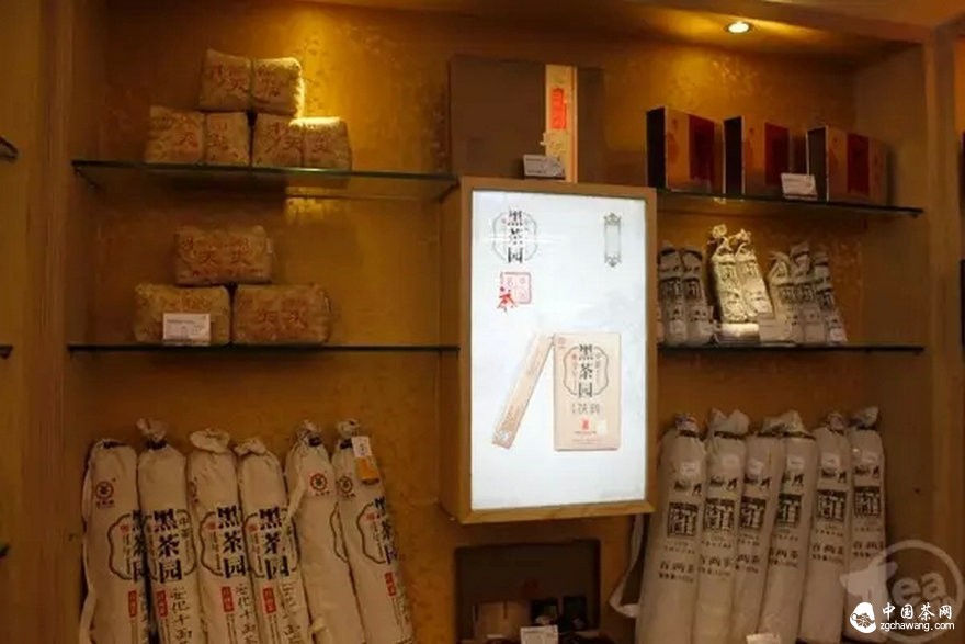 黑茶標(biāo)準(zhǔn)化：東莞茶商收茶有了價值參照