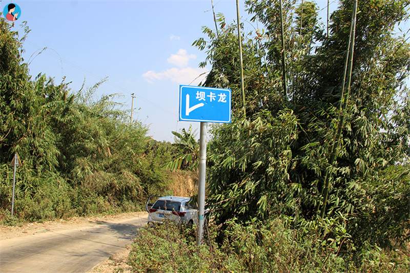 這座寨子至今已有1300多年的歷史，是最古老茶農(nóng)濮人的后裔