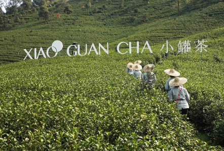 攜手陳喬恩、陳漫 小罐茶玩轉(zhuǎn)現(xiàn)代派春茶-焦點中國網(wǎng)