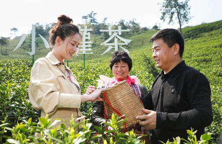 攜手陳喬恩、陳漫 小罐茶玩轉(zhuǎn)現(xiàn)代派春茶-焦點中國網(wǎng)