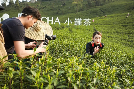 攜手陳喬恩、陳漫 小罐茶玩轉(zhuǎn)現(xiàn)代派春茶-焦點中國網(wǎng)