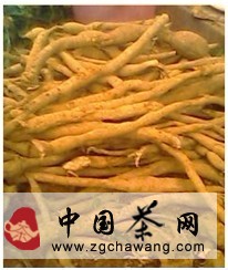 怎樣鑒別牛蒡茶的優劣