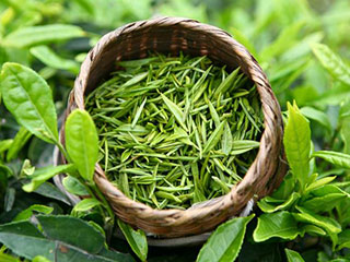 養(yǎng)生排毒茶，適合各類人群